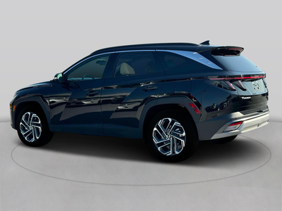 2025 Hyundai Tucson Limited